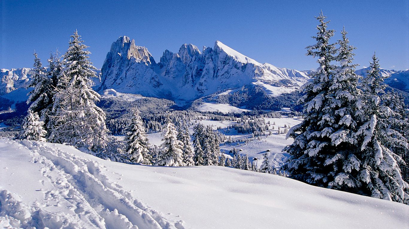 Gallery School Ski Trips to Italy - 10