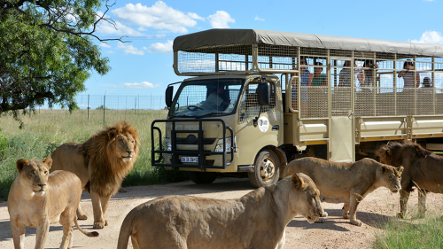 Gallery Football Tour of South Africa - 08