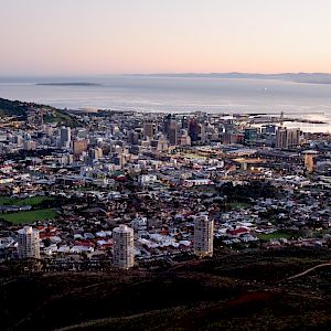 Offer Game Drives, Table Mountain Tour, Superb Sport - Cape Town has it all!