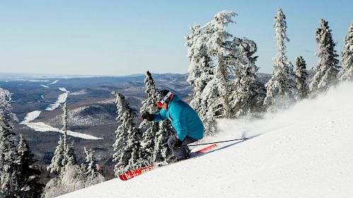 Gallery School Ski Trips to Canada - 09