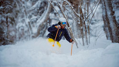 Gallery School Ski Trips to Canada - 04