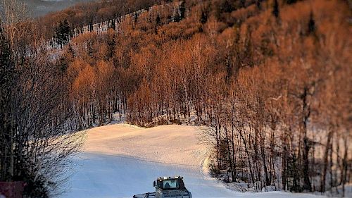 Gallery School Ski Trips to Canada - 07