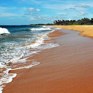Offer Enjoy the full Sri Lankan experience from Colombo to the hills of Dambulla and Kandy finishing in Galle and the beaches of the south