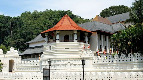 Gallery Multi-Sport Tour of Sri Lanka - 11