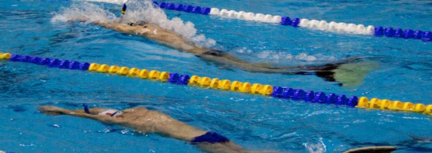Interview with Former World Fin-Swimming champion and Italian watersports expert Luca Tonelli