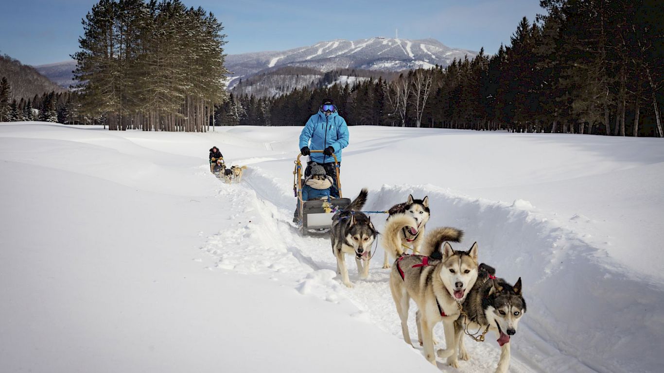 Gallery School Ski Trips to Canada - 05