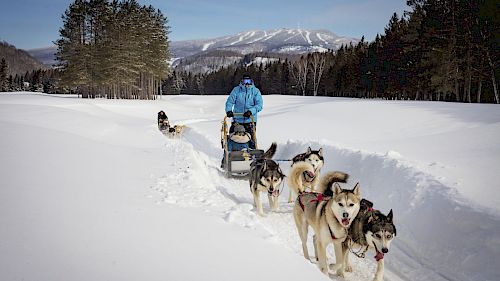 Gallery School Ski Trips to Canada - 05