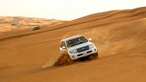 Gallery Cricket Tours to Dubai - 05