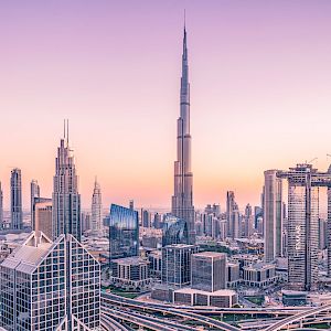 Offer Epic skylines, immersive culture, and an exciting sports scene