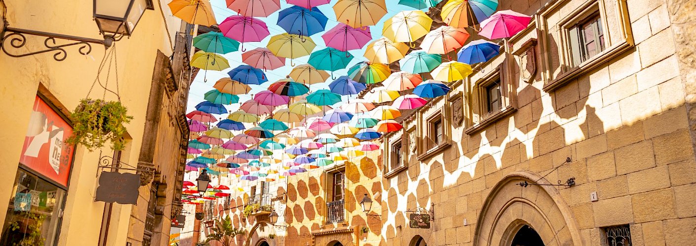 The Power of Immersion - Boosting Language Learning While On Tour