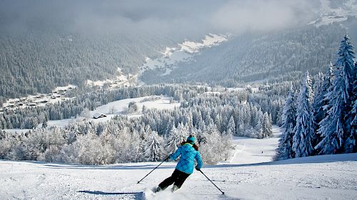 Gallery School Ski Trips to France - 04