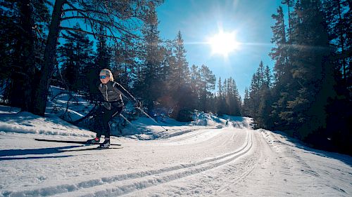 Gallery School Ski Trips to Norway - 03