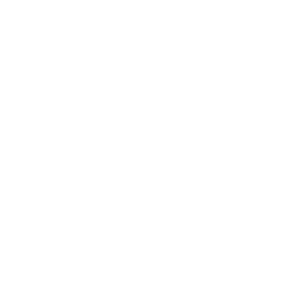 STF logo